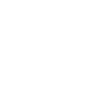 Logo for Templars Academy